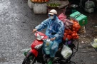 Thời tiết miền Bắc những ngày tới: Se lạnh về đêm, ngày nắng ráo