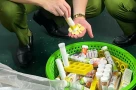 Hà Nội thu giữ hơn 1,2 triệu sản phẩm C sủi: Chất bảo quản vượt ngưỡng tới 33 lần, nhiều thành phần không có như quảng cáo