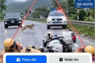 Sự thật hình ảnh 2 CSGT gặp tai nạn khi đang làm nhiệm vụ ở Thái Nguyên