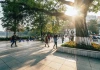 Miền Bắc nắng ráo kéo dài, trưa chiều nắng nóng 33 độ