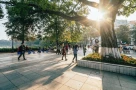 Miền Bắc nắng ráo kéo dài, trưa chiều nắng nóng 33 độ