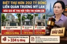 Đấu giá biệt thự hơn 202 tỷ đồng liên quan bà Trương Mỹ Lan toàn mặt phố lớn ở TPHCM