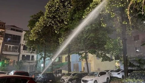 Dân kêu trời vì 'ác mộng’ hoa sữa, Hà Nội lệnh xử lý khẩn, loại bỏ các 'điểm nóng'