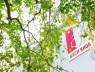 TỪ NĂM 2027, MÃ NGÀNH ĐẠI HỌC THAY ĐỔI: 2K9 CẦN HIỂU GÌ ĐỂ KHÔNG CHỌN NHẦM NGÀNH?