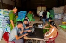 Công an đột kích 'sào huyệt' gạo giả: 'Trùm sò' bị khởi tố, hé lộ điều hãi hùng