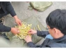 Trung Quốc lại xôn xao măng tươi bị ngâm, xông lưu huỳnh