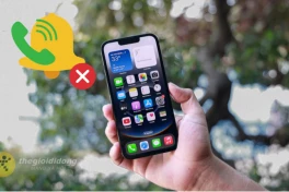 Cách tắt thông báo cuộc gọi từ số lạ trên iPhone, bớt phiền