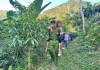 Công an băng rừng tìm bà cụ 80 tuổi bị lạc 3 ngày