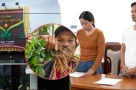 SÂM NGỌC LINH: “Mỏ vàng” khiến Hằng Lê, “Già làng Tây Nguyên”, bà Mỹ Hạnh và... lao vào vòng lao lý