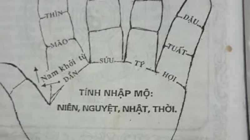 3 nhập mộ, 4 nhập mộ, không nhập mộ... có ý nghĩa gì? Cách tính nhập mộ ra sao?