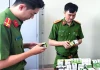 Vì sao đề xuất nâng mức phạt hành chính tối đa lên 1,5 tỉ đồng với cá nhân?