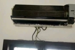 Bật điều hòa cho mát, tá hỏa phát hiện rắn bò ra nhung nhúc