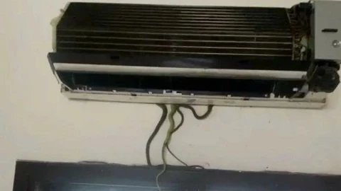 Bật điều hòa cho mát, tá hỏa phát hiện rắn bò ra nhung nhúc
