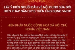 Hướng dẫn thực hiện góp ý sửa đổi, bổ sung một số điều của Hiến pháp trên VNeID