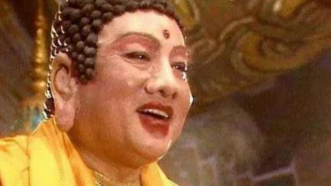 Tai to có thông minh không? Sự thật khoa học đằng sau quan niệm dân gian