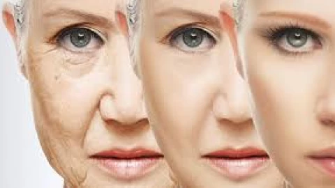 Khoa học chống lão hóa: Liệu con người có thể thật sự đánh lừa cái chết?