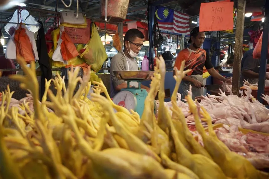 Lệnh cấm của Malaysia làm rúng động ngành cơm gà Singapore