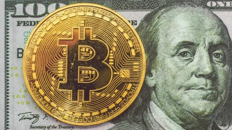Gia đình bán hết gia sản để mua Bitcoin giờ ra sao