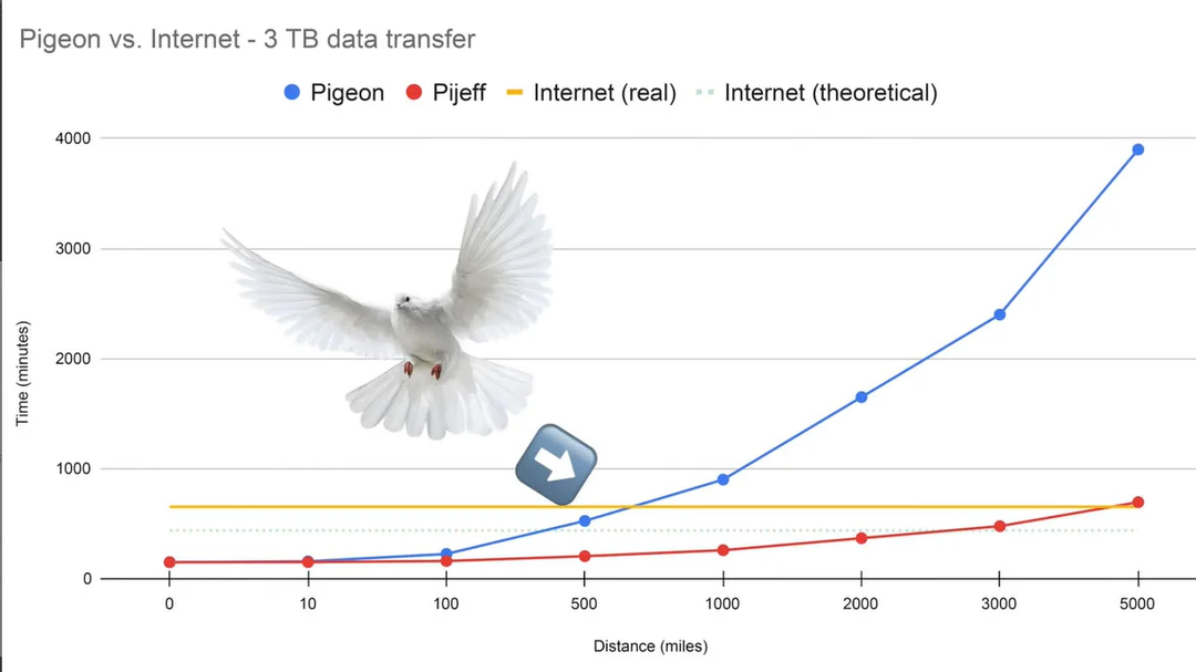 Cáp quang và bồ câu, thứ nào truyền dữ liệu Internet nhanh hơn?
