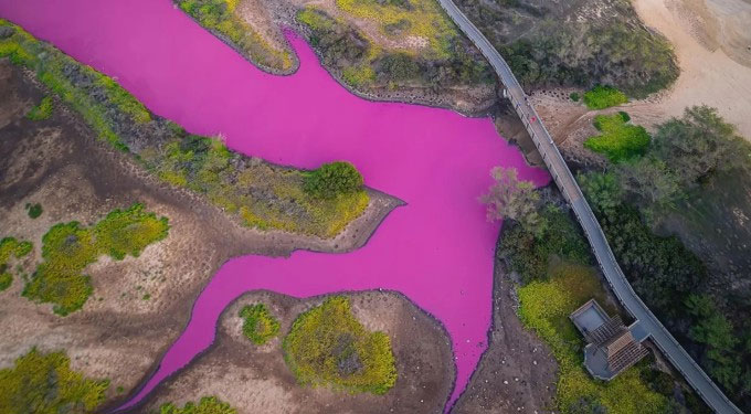 Hồ nước ở Hawaii chuyển sang màu hồng cánh sen sau hạn hán, nguyên nhân được giới khoa học tiết lộ