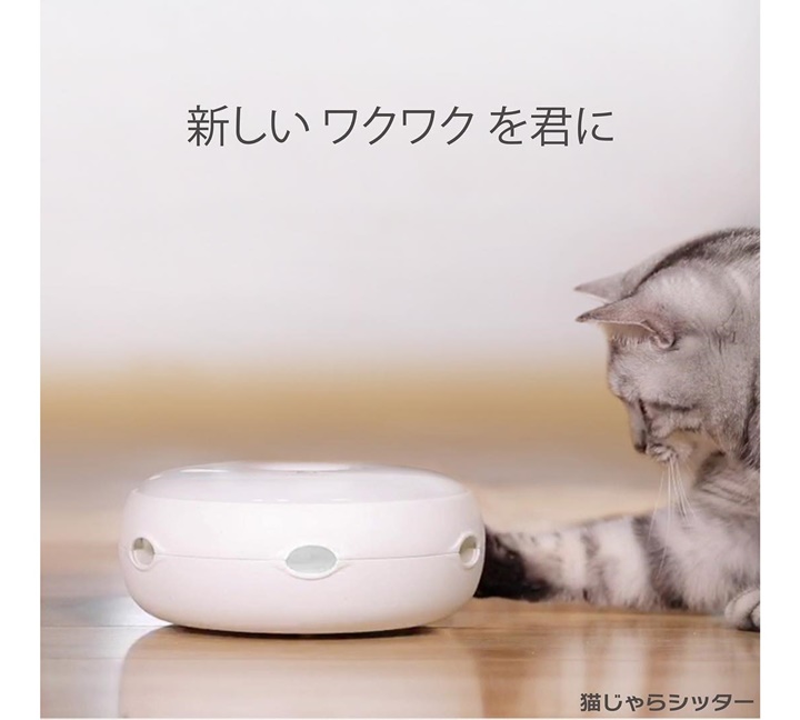 Robot giải khuây cho boss mèo giá chỉ hơn 800k từ Nhật Bản