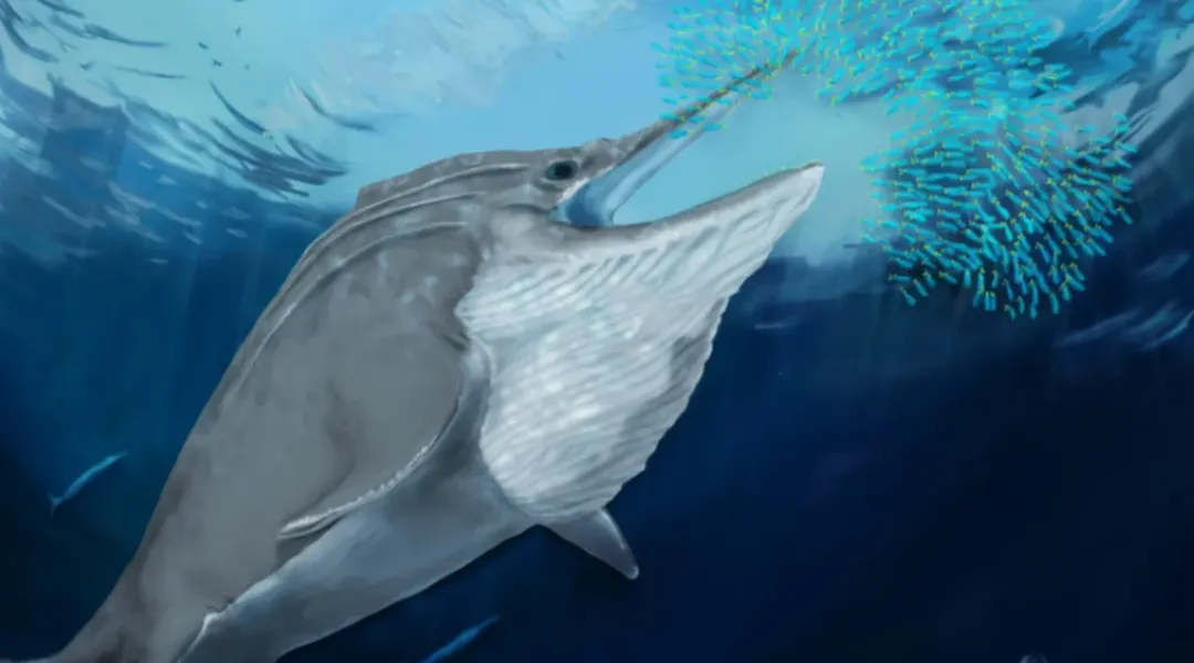 thumbnail - Phát hiện răng hóa thạch của loài quái vật biển khổng lồ, có thể là loài ăn thịt lớn nhất trên Trái Đất