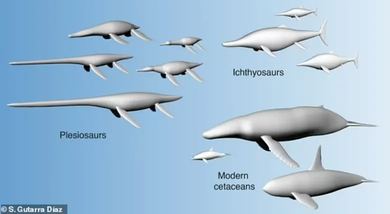 Cơ thể to lớn là vũ khí thống trị đại dương của các loài quái vật biển từ hơn 200 triệu năm trước