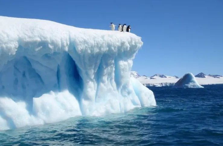 Ship ngay cho Cali: Dưới lớp băng dày của Nam Cực là một tầng chứa nước khổng lồ
