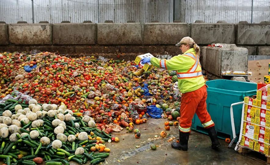 Tránh lãng phí thực phẩm là điều bạn có thể làm để góp phần ngăn chặn biến đổi khí hậu