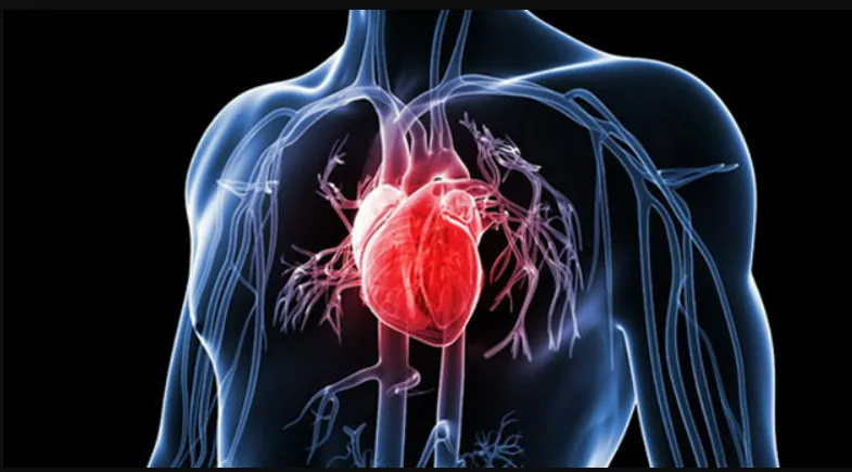 Chế tạo thành công viên thuốc thần kỳ "3 in 1": Cứu tinh cho bệnh tim mạch