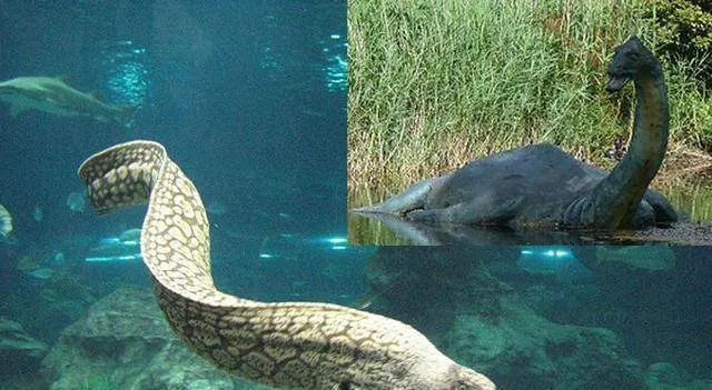 Bí ẩn về quái vật hồ Loch Ness đã được giải đáp