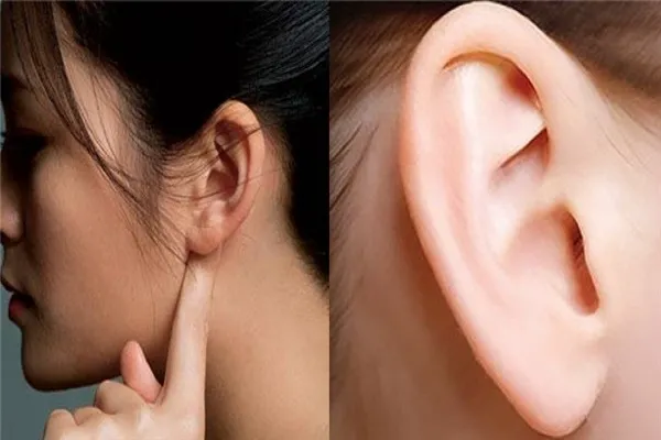 Sự khác biệt giữa "tai nghèo" và "tai giàu" là gì, hãy xem bạn có tướng tai như thế nào?