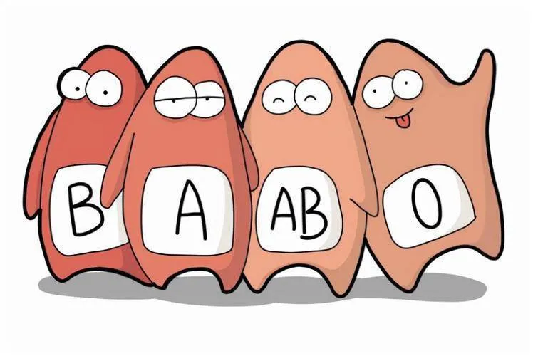 Nhóm máu A, B, AB và O nhóm nào có thể khỏe mạnh hơn? Nhóm máu của bạn là gì?