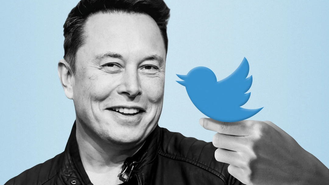 "Trận chiến vì chim" kể nguồn gốc việc Elon Musk tiếp quản Twitter