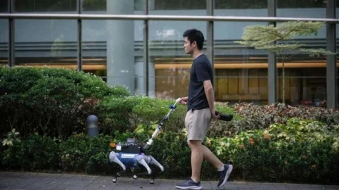 Không chỉ là đồ chơi công nghệ: Chó robot đang thay đổi cuộc sống tại một quốc gia láng giềng Việt Nam