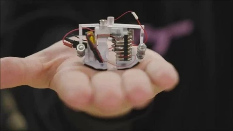 Mỹ trình làng robot tự hành hai chân nhỏ nhất thế giới, cao chưa tới 4cm nhưng có thể đi, nhảy, leo cầu thang
