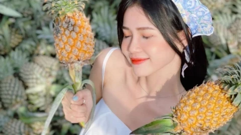 6 lý do phụ nữ nên ăn dứa thường xuyên