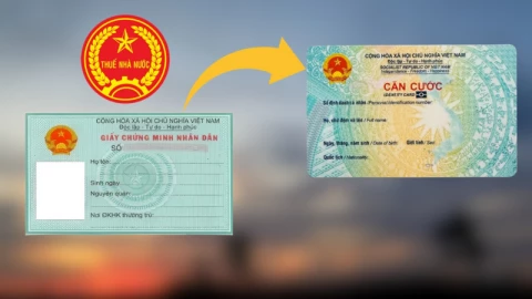 Cách thay đổi thông tin đăng ký thuế từ CMND sang CCCD online trong nốt nhạc