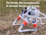 Độc lạ Robot mềm "nhảy múa" bằng khí và vật lý: Không cần điện tử, không AI, vẫn đạt tốc độ "khủng"