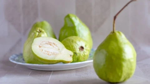 Tin mừng cho người thích ăn ổi