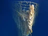 Huyền thoại lịch sử Titanic đứng trước nguy cơ bị xóa sổ mãi mãi