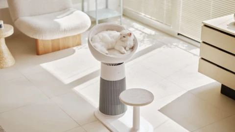 Khi doanh số bị Trung Quốc cạnh tranh dữ dội, đây là động thái sinh tồn của LG để sống sót