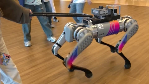 Khám phá TrackVLA: Mô hình AI giúp robot tự học đường đi mà không cần lập trình trước