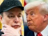 "Lành làm gáo vỡ làm môi", Elon Musk "tố" thẳng mặt Donald Trump: "Nếu không có tôi, ông đã thua trong cuộc bầu cử!"