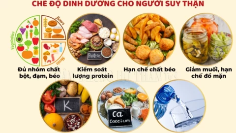 Sai lầm trong dinh dưỡng khiến suy thận mạn thêm trầm trọng: Đâu là giải pháp?