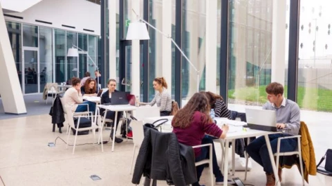 Trí tuệ nhân tạo có thật sự dạy bạn học không?