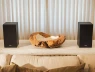 Bất ngờ quá! Sony ra mắt loa bookshelf Hi-Res giá rẻ này bà con!