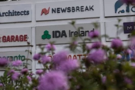 Ứng dụng đọc tin phổ biến nhất ở Mỹ lan truyền fake news được viết bằng AI, hóa ra nguồn gốc từ Trung Quốc