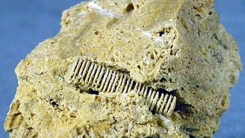 Giả thuyết NASA: Có một nền văn minh tiên tiến khác đã "tuyệt chủng" trên Trái Đất?