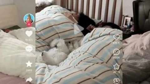 Sau "nằm thẳng", giới trẻ Trung Quốc lại có trào lưu mới "người chuột": Sống về đêm, ẩn mình trong bóng tối,